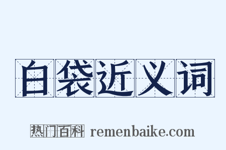 白袋近义词是什么意思的图片